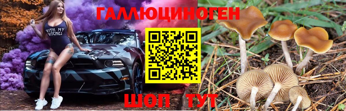 Псилоцибиновые грибы ЛСД Моздок